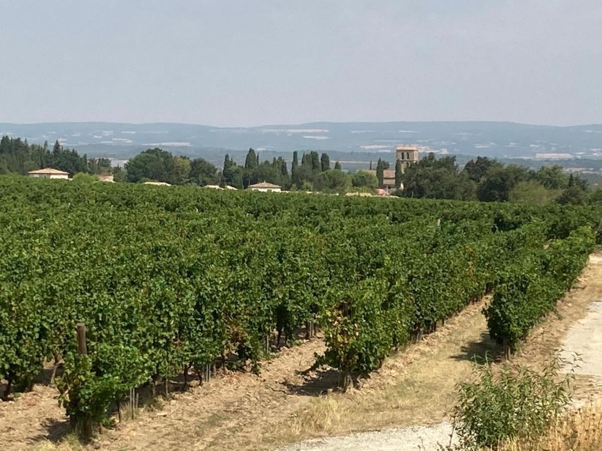 Maison DELMAS, l'Oustal du Recantu Sainte-Eulalie  Kültér fotó